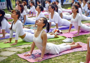 翠華山這回真玩兒大了，健身休閑活動引爆熱潮